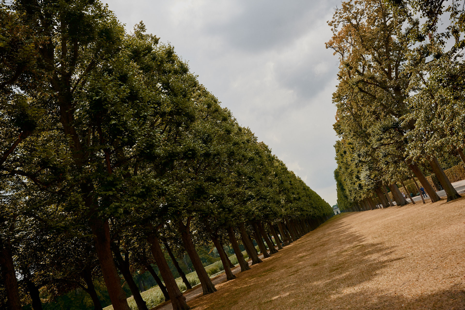 Standesamtliche Hochzeit in den Herrenhäuser Gärten. Hochzeitsfotograf Niclas Grüning