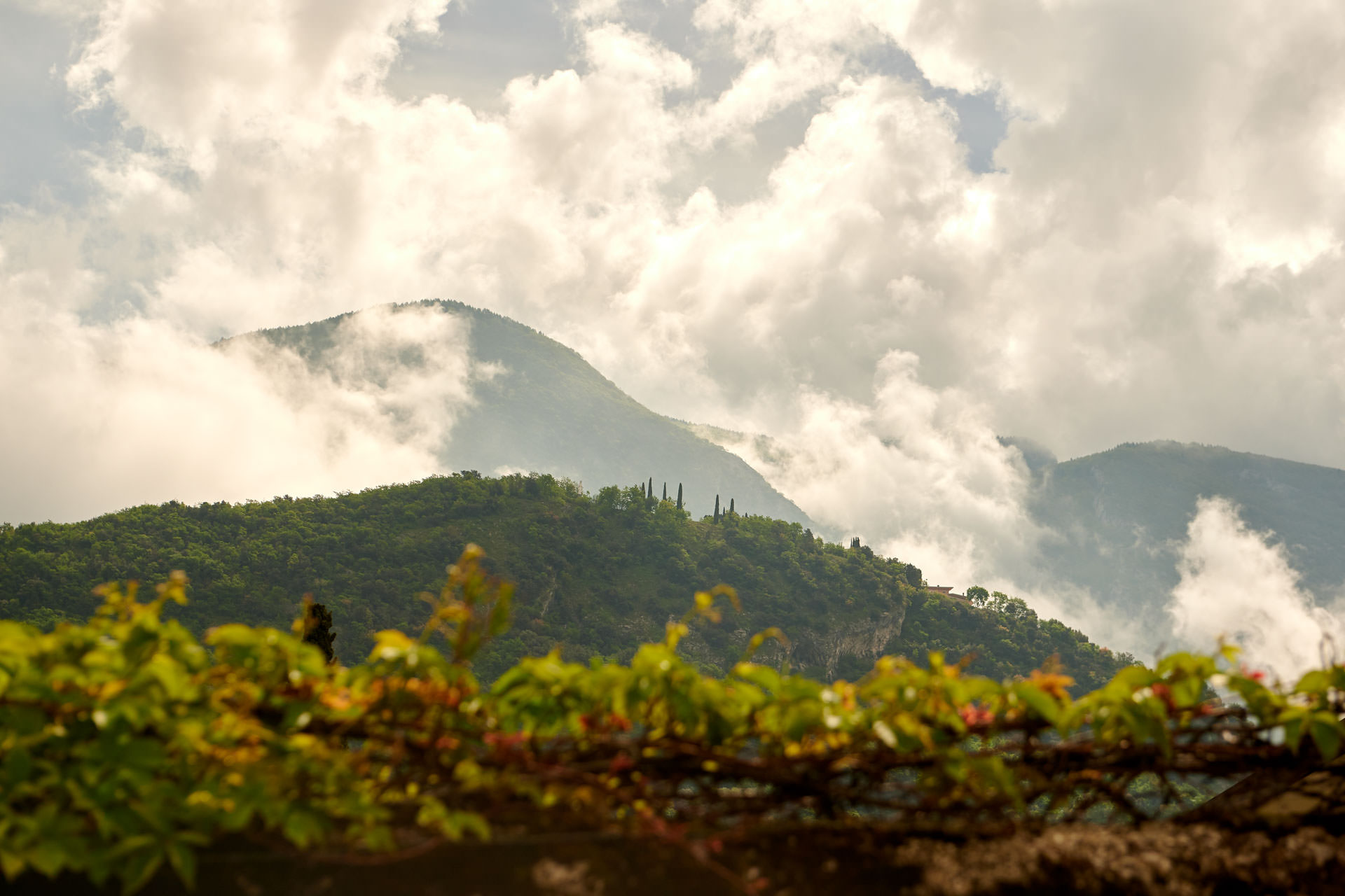 Hochzeit am Gardasee Malcesine Italien. Hochzeitsfotograf & Hochzeitsvideograf Niclas Grüning