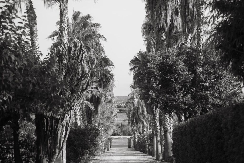 Mallorca Hochzeit. Destination Wedding Mallorca. Echte Hochzeitsbilder.
