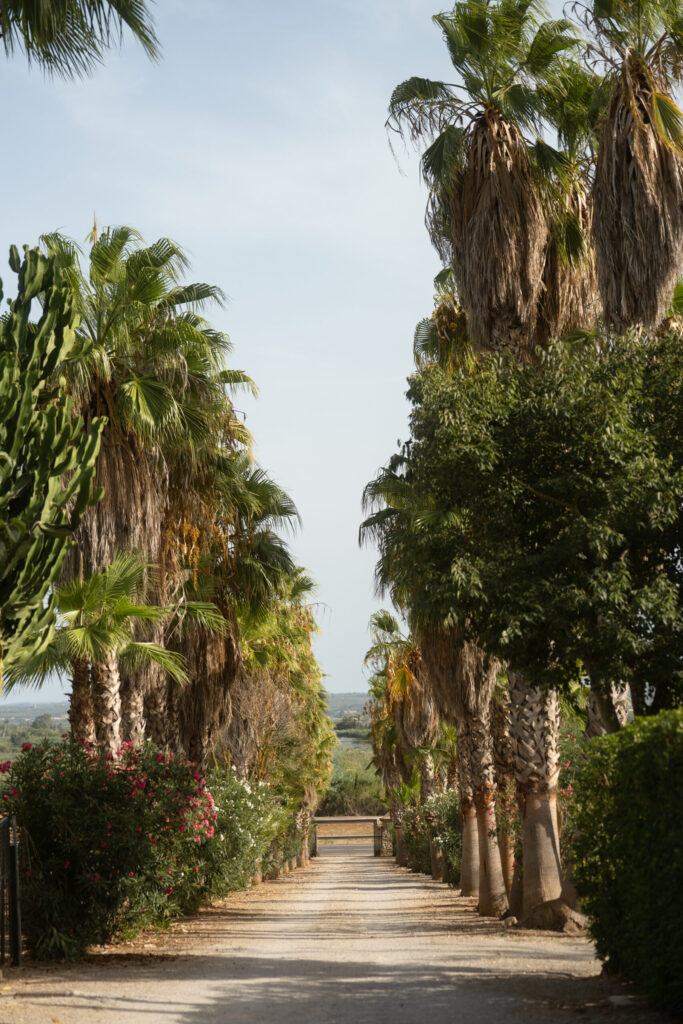 Mallorca Hochzeit. Destination Wedding Mallorca. Echte Hochzeitsbilder.